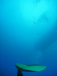 海底から。ブクブク