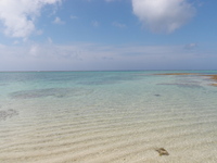 ちゅら海