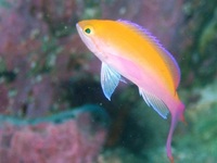 UW 2011/07/30 23:28:00