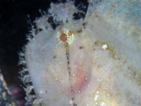 UW 2012/12/13 07:32:48
