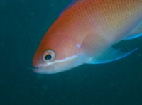 UW 2013/01/08 08:31:35