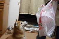 満足？ 2007/01/11 18:54:00