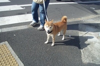 今日もおでかけ 2007/01/04 16:52:00
