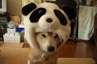 かわいい？ 2007/01/16 16:21:00
