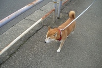 迷子札 2007/01/07 19:49:00
