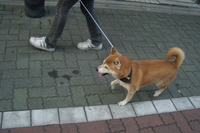 おやつを買いに・・・ 2007/01/03 18:35:00