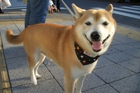 いい天気！ 2006/12/27 19:35:00