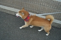 勘違い 2007/01/27 21:23:00