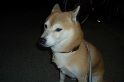 なかよくできるかな