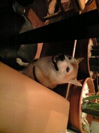 混んでた〜 2007/10/21 17:09:26