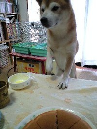 おねだり王子 2007/12/21 22:59:41