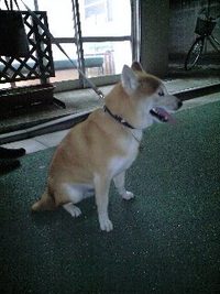 痛くないよ 2008/03/19 00:37:50