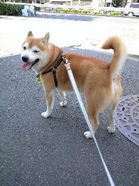 再び病院 2008/04/06 22:18:34