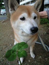 発見！ 2008/05/07 18:25:39