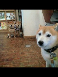 おつかれさま 2008/05/19 19:45:33