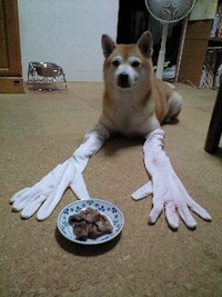 いただきます 2008/07/26 20:10:56