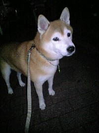 起こされたぁ(＞＜;) 2008/10/29 00:45:33
