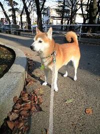 呼ばないで 2008/12/12 09:29:15