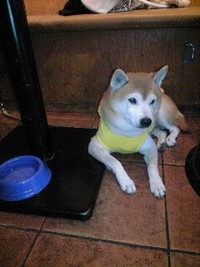 歩けた！ 2008/12/24 17:27:06