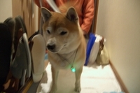 ただいま～！ 2007/02/15 21:59:00