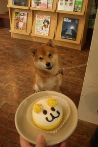 お誕生日 2007/02/16 17:44:00