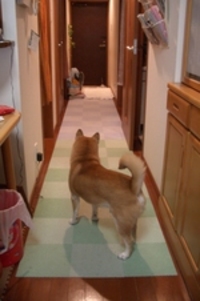 待ってたよ！ 2007/02/23 16:14:12