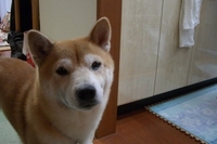 おなかがすいた 2007/02/05 22:37:54