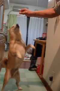 おなかがすいた