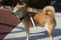 おいしかったね！ 2007/02/06 19:55:00