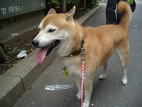 楽しかったね 2007/10/03 20:15:56