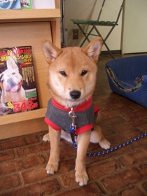 楽しかったね