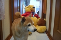 やっつけた？ 2007/05/08 18:11:28