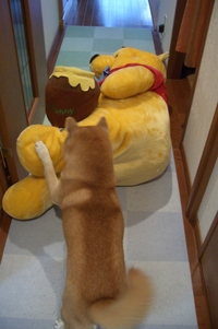 やっつけた？