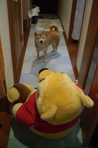 やっつけた？