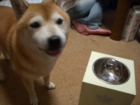 処分品2 2007/09/02 10:43:10