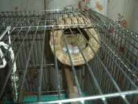 リュウおじちゃん 2008/02/01 22:26:34