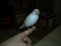 リュウおじちゃん