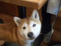 久しぶりの再会 2008/02/15 18:42:36