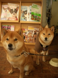 遊んでもらった 2008/02/26 20:11:36