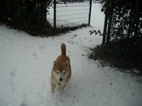 雪　その2