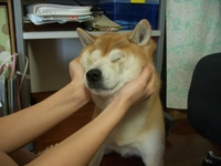 抵抗 2008/03/15 17:24:02