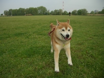 走りまくり