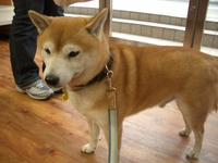 事件 2008/04/04 21:37:20