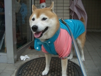 元気になったよ 2008/05/10 18:57:20