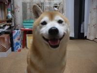 ややこしい 2008/05/25 21:31:48
