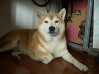 地震 2008/05/08 22:07:46