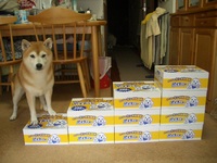 今年も 2008/06/28 20:12:31