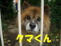 こっちむいて～ 2008/06/08 23:38:55