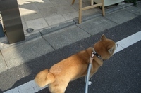 お客はリュウだけ～ 2007/03/22 18:34:18