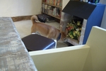 お客はリュウだけ～